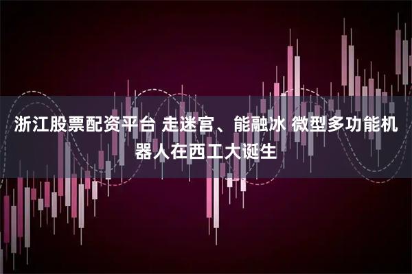 浙江股票配资平台 走迷宫、能融冰 微型多功能机器人在西工大诞生
