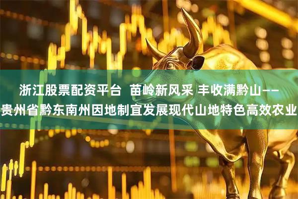 浙江股票配资平台  苗岭新风采 丰收满黔山——贵州省黔东南州因地制宜发展现代山地特色高效农业