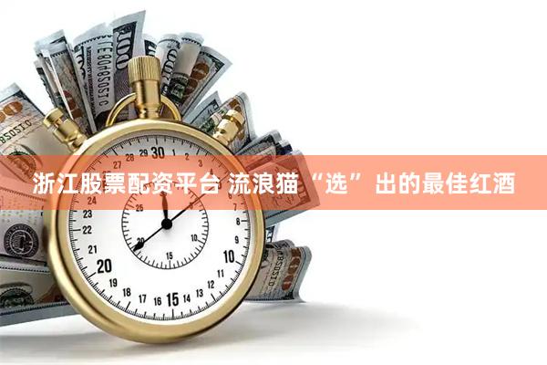 浙江股票配资平台 流浪猫 “选” 出的最佳红酒