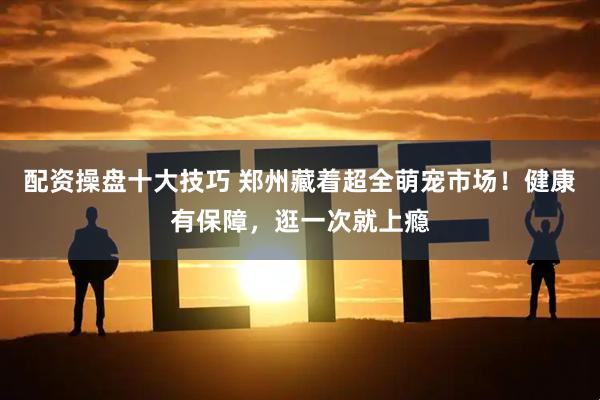 配资操盘十大技巧 郑州藏着超全萌宠市场！健康有保障，逛一次就上瘾